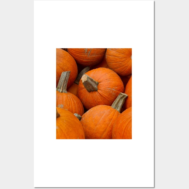 Pumpkin No 1 Wall Art by jforno